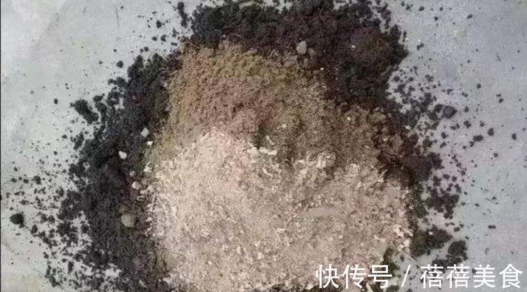 养花的“旧土”加点“废物”,又肥的流油,养花一级棒