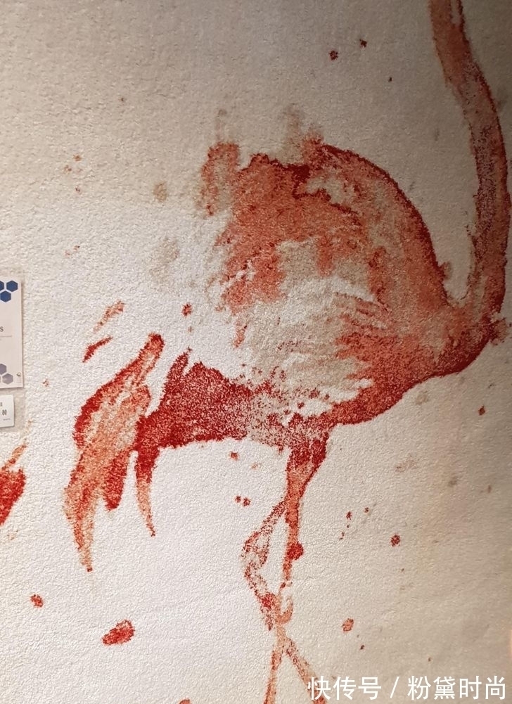 设计师@14位无法控制自己想象力的设计师,他们的失败令人难以忘记