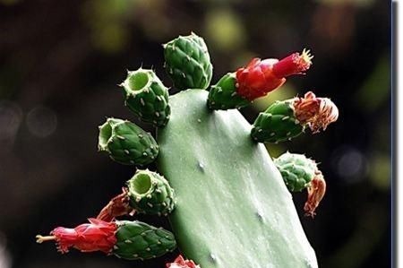 患者|胃炎怎么办,多吃“4宝”,修复胃黏膜,现在知道还来得及