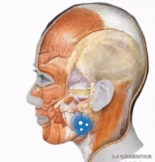 聊一聊有些人为什么会看上去脸越来越宽？看看具体的解决方案