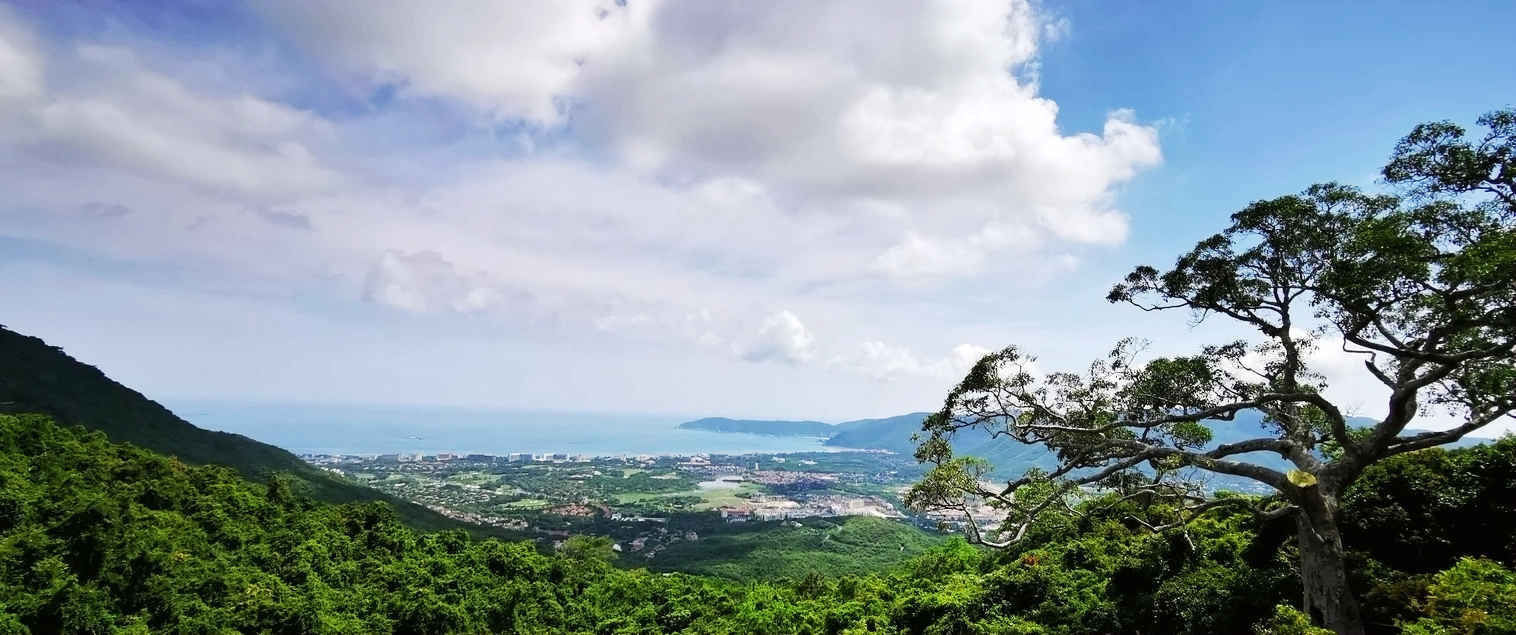 不一样的热带雨林，不一样的美丽风景——游亚龙湾热带天堂森林公园