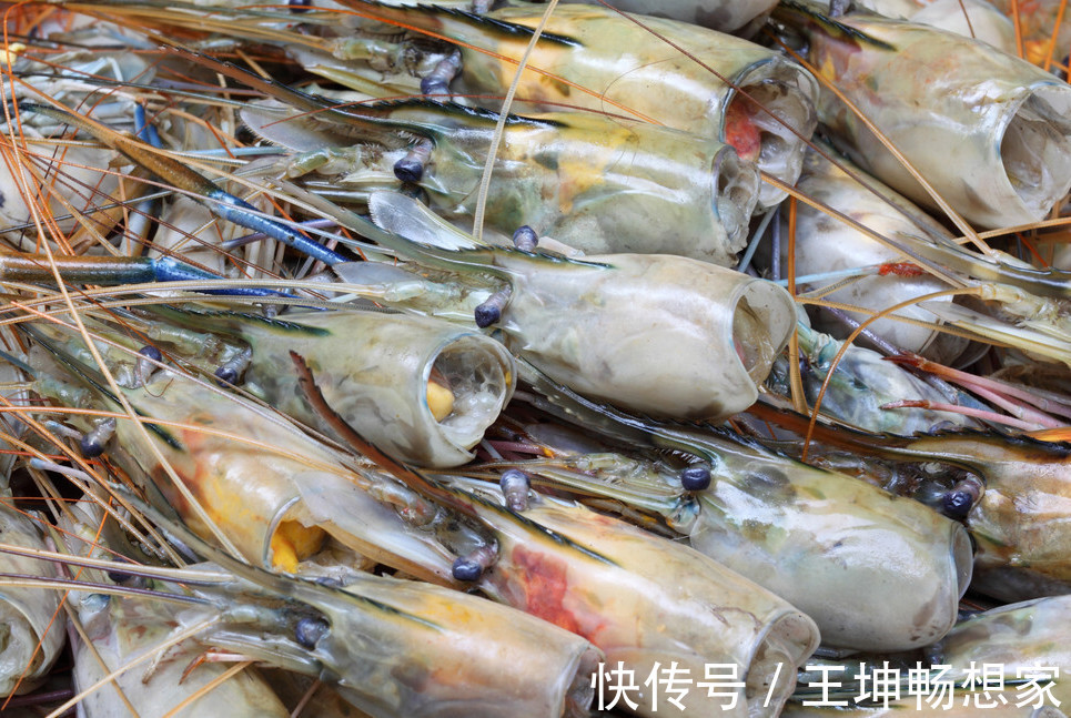 虾头里面是精华还是脏东西可以吃吗才知道,这么多年虾白吃了