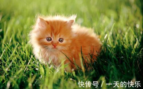 |幽默笑话:我们公司突然放假,去找女朋友,想给她个惊喜