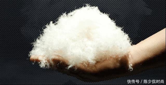 羽绒服|羽绒服盘点种草:含大牌秀场款、选购注意事项