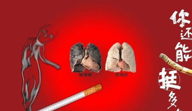 五脏|老中医:如此养我们的心、肝、脾、肺,肾,能让五脏焕发活力