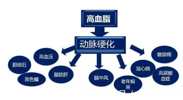 长寿|高血脂患者,饮食要坚持一疏二控三消耗,避免并发症,才能更长寿
