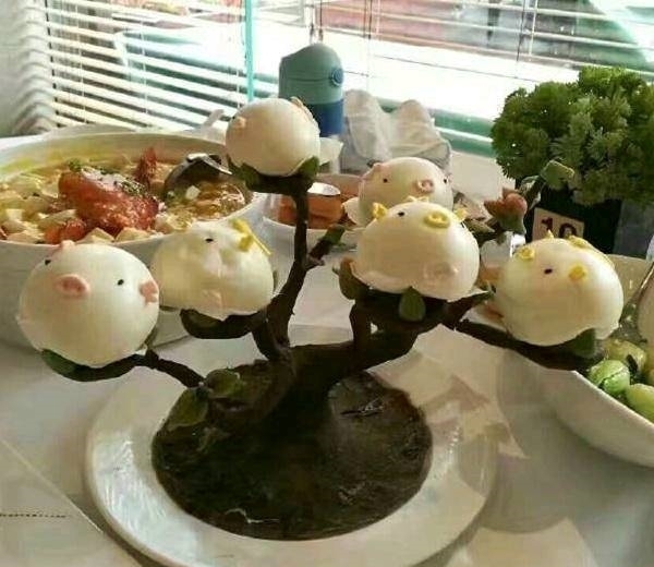 |搞笑图片幽默段子笑话:哈哈,狗狗很爱美啊,都在敷面膜了呢