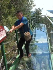 |搞笑GIF:这是谁家的狗子,再每天来这里锻炼身体,我们可要收费了