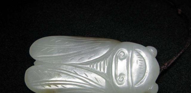 自称|女子带玉蝉参加鉴宝,自称已戴十几年,专家看后你胆子真大