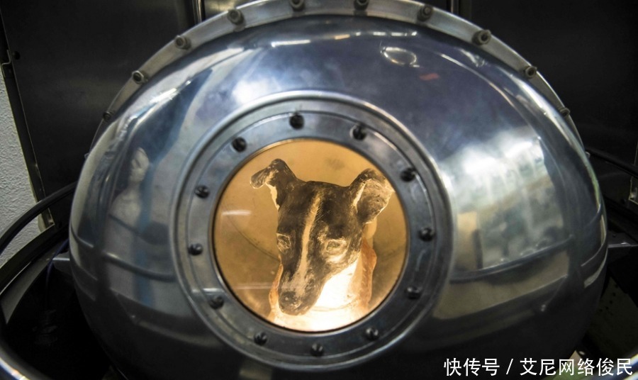 比加加林 63年前,一条狗被人送到太空,比加加林还早,如今仍在太空流浪