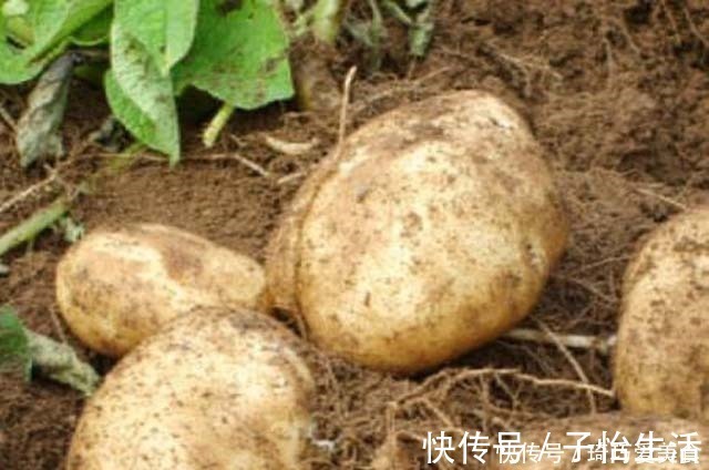 添加剂|懂得养生的人从不吃8种食物，你是不是都很熟悉？也许很多你常吃