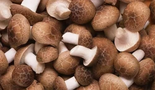 食物|冬天不妨多吃3种食物，补充营养、养颜补血，身体棒棒哒！