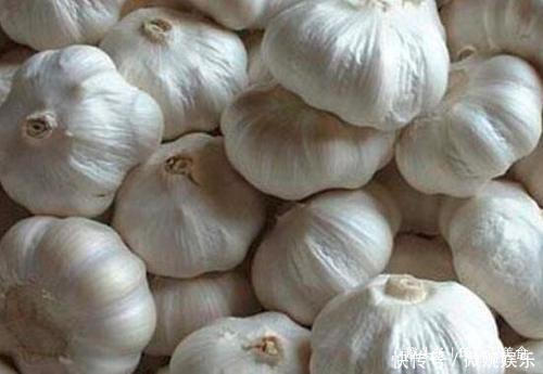 常吃大蒜好处多,但这4种大蒜不要买,今天才弄明白,长知识了!