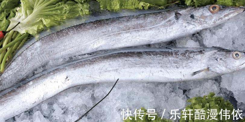 买带鱼,选肉厚的还是肉少的学会挑选技巧,买对带鱼做菜好吃