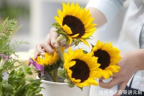 经验|养花15年的经验告诉你,4种水不能用来浇花,科学养好花