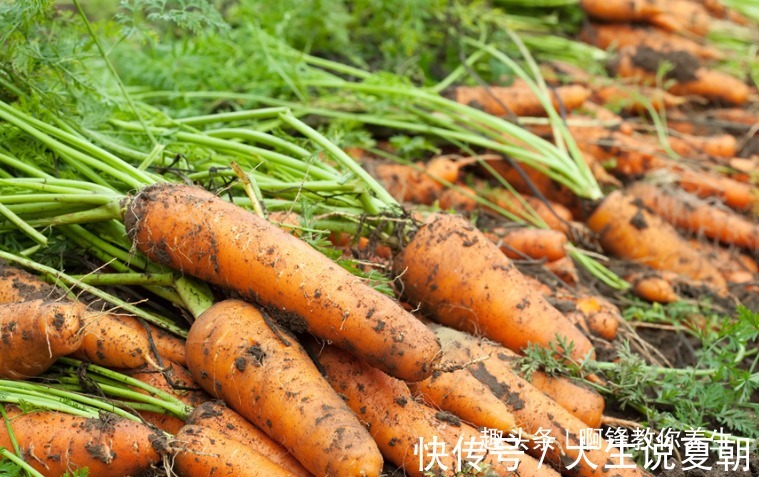 降糖降压工|此物是天然的降糖降压工,每天当零食吃一把,身体更健康