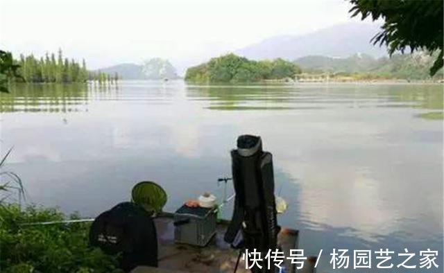 饵料|秋天是钓大鱼的好季节，守钓大鱼，用什么味型的饵料最广谱？