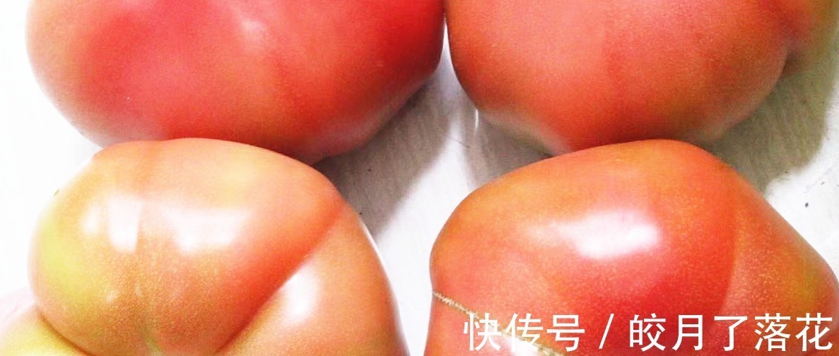 没人告诉你“激素西红柿”长啥样，今天和大家说说，记得告诉家人！