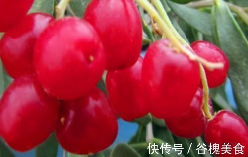 宗医师|聪明女性都在吃3种食物,排毒养颜,延缓衰老,早吃早健康!