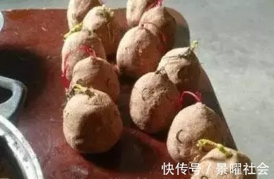 爆炸钩|爆炸钩钓鲤鱼,一天十条大家伙绰绰有余,钓鱼钓到手发软