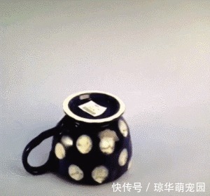 数据线|有了这36个生活窍门,生活都机智起来了!