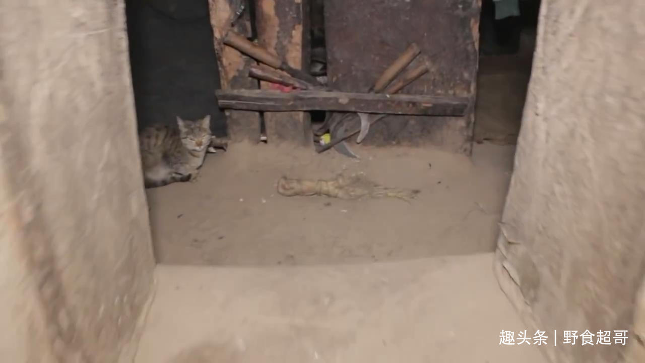 尼泊尔山区穷家吃鸡肉,打着手电筒炒菜,鸡肠不洗直接挤掉鸡粪