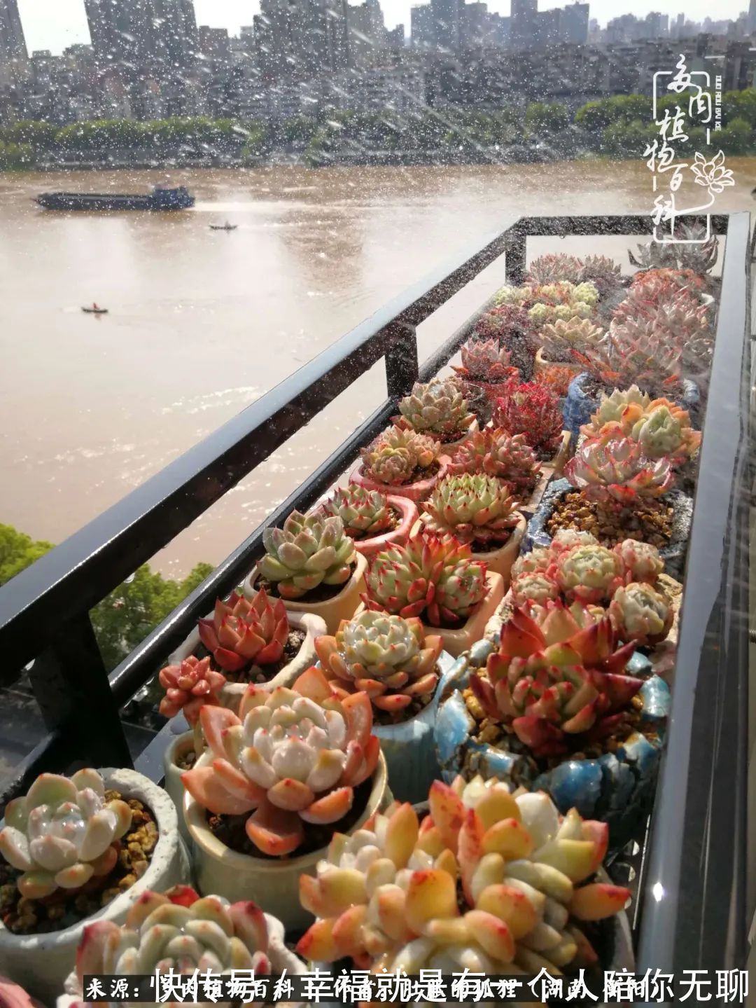 爱这一片缤纷的色彩，因为我们都是好色之徒！