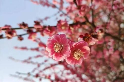 胃经|拍打一条经络,能让你“面如桃花”,不信你可以试试