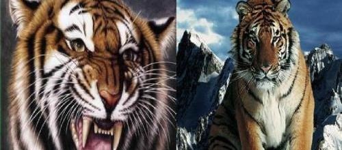 老虎|林冲与武松的差距,就像豹子与老虎,不是一个体量和等级的武将!