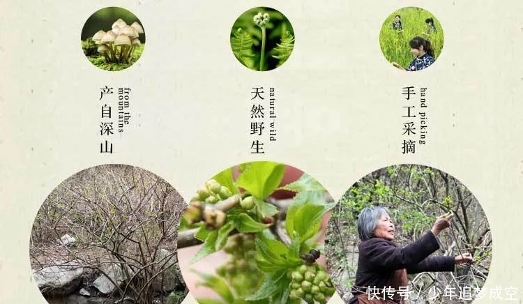 五一桐柏游：山水赏花游乐美食，世外桃源嗨起来