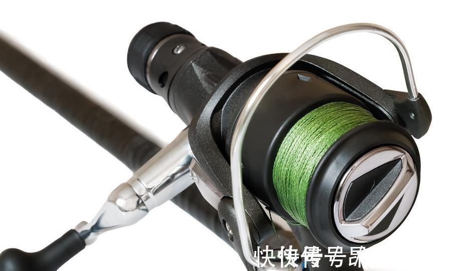 鱼线|掌握黑鱼垂钓秘密,即使再凶猛的黑鱼也可以轻松钓到