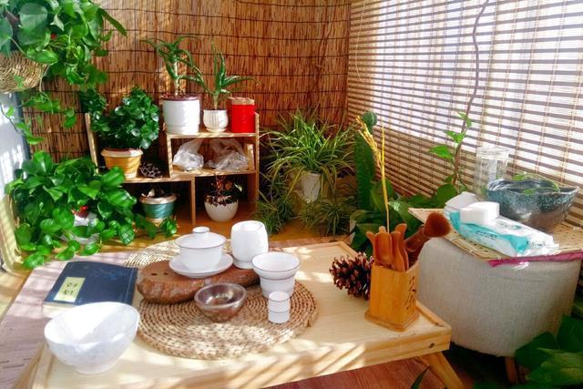 你还买这10种花别再乱花钱了，摘个叶子回家，过几天就变小苗了