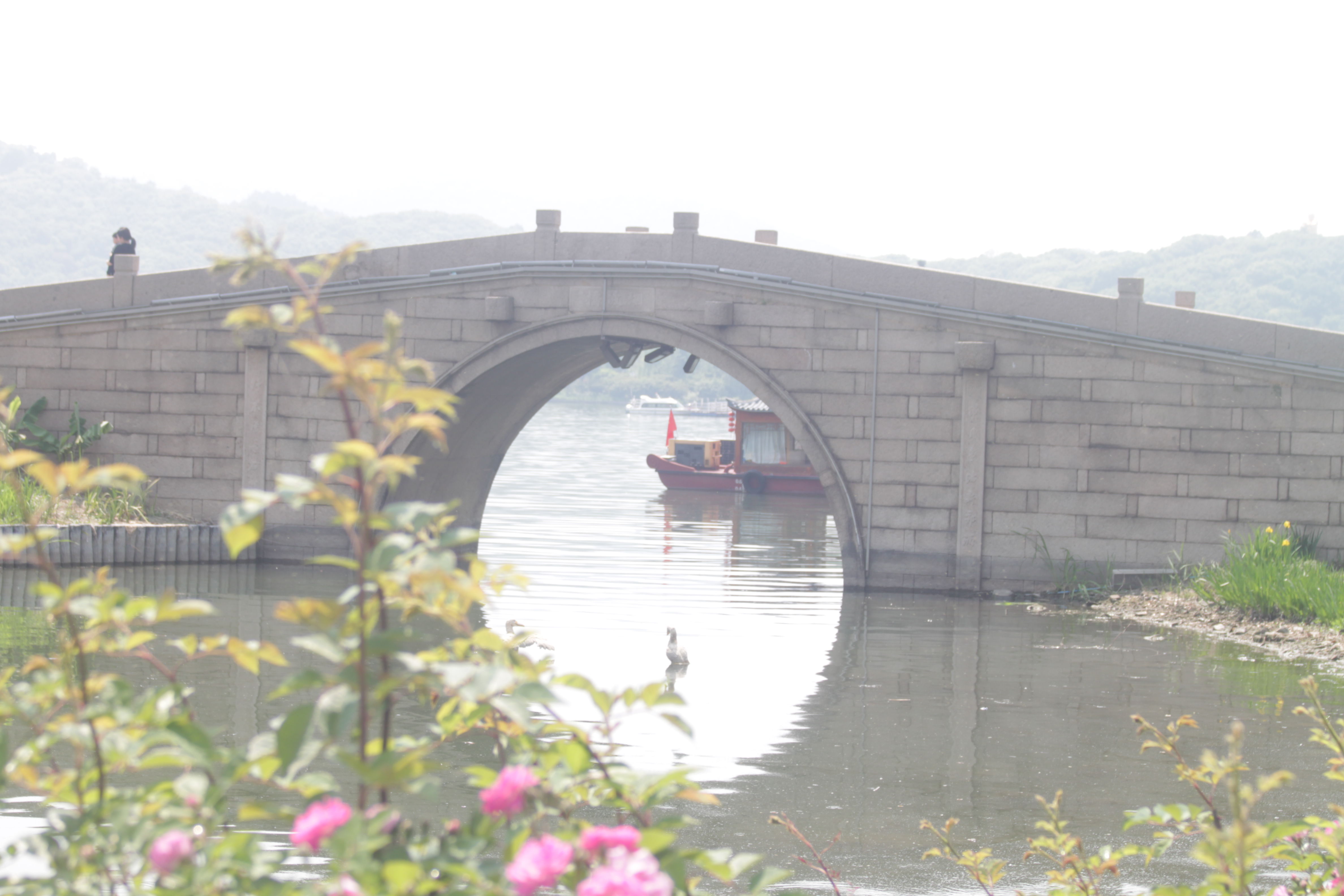 踏上观湖路的拱桥，终于成为别人眼中的风景