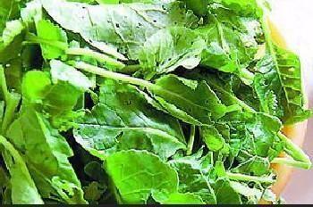 苋菜|农村这5种野菜,个个是宝,镇咳、减肥轻身、排毒,有钱都吃不上