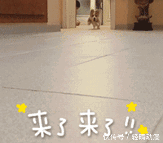 这个只要3块钱的好物，我要一辈子回购！好用哭！