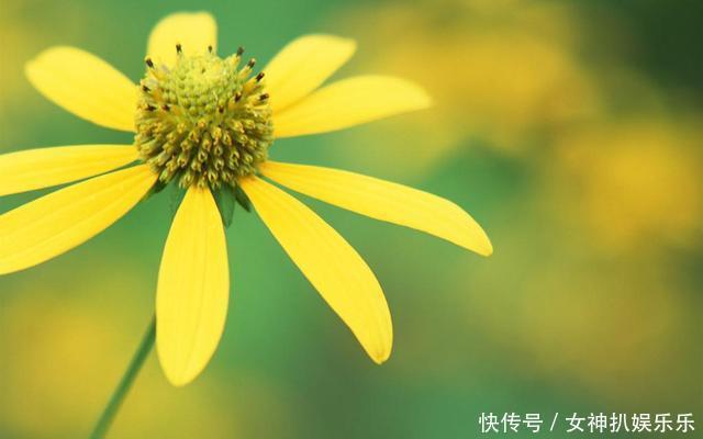 护肤|百无一用是眼霜