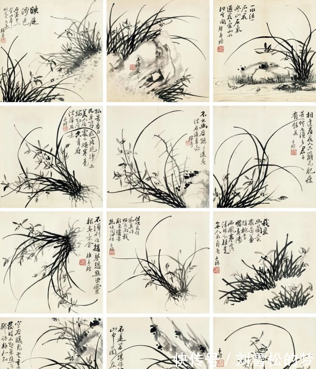 姿态|清代蒋予检笔下的兰花:纵横偃仰,别有姿态