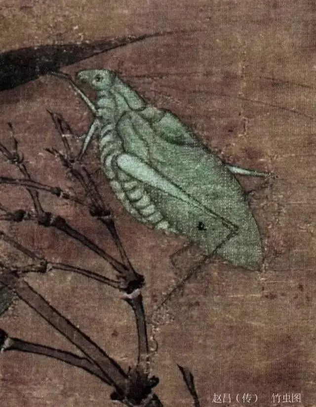 蝈蝈$国画技法图典——草虫篇:蝗虫 蚂蚱 蝈蝈 螽斯 螳螂 蟋蟀