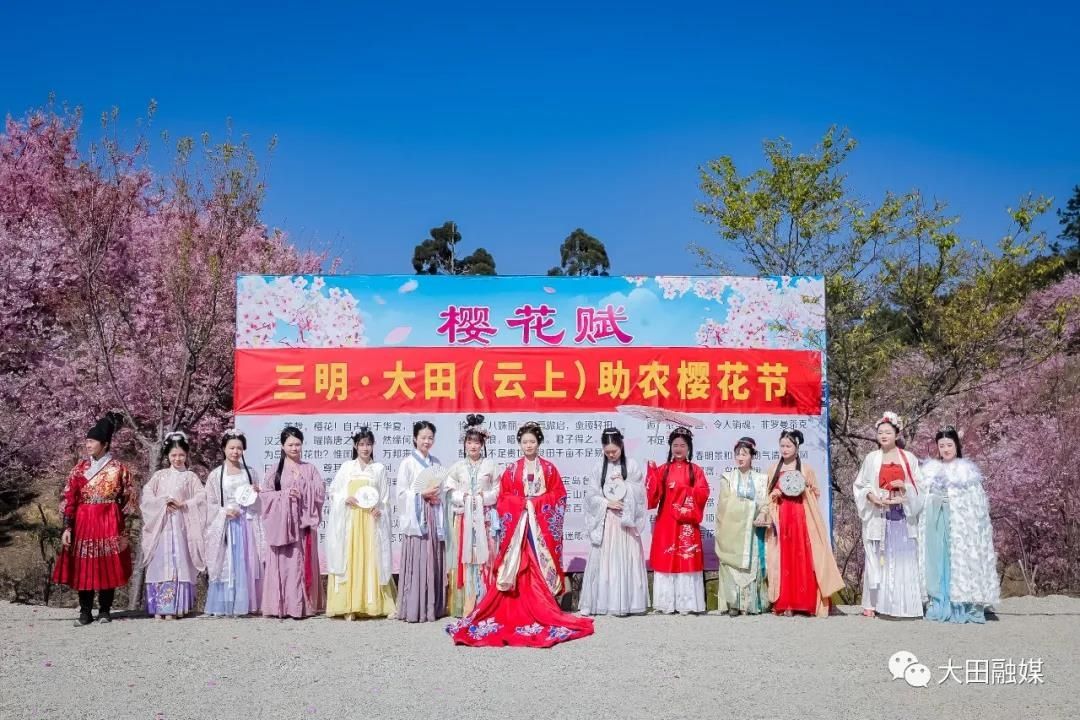 老年|大田首届（云上）樱花节今日开幕！