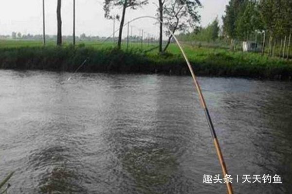 三伏天钓鱼,宜选活水做钓点,流水走漂用这些钓法,渔获更有保证