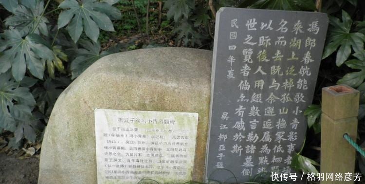 伤心|一代才女之死:卿须怜我我怜卿,岂独伤心是小青