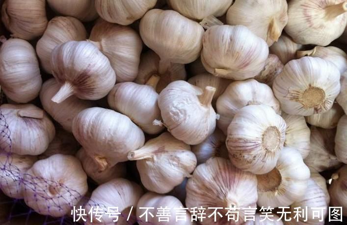 原来保存大蒜这么简单，教您一招，1年不干瘪发芽，不怕蒜涨价了