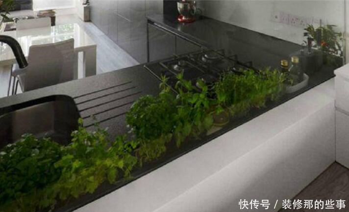 种菜|橱柜里也能种菜?煮泡面直接抓一把青菜下去,将橱柜空1格就行!