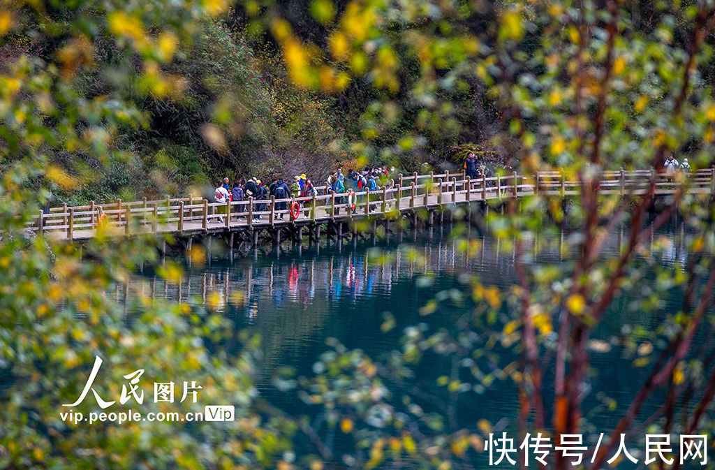 秋景|四川阿坝：九寨沟秋景迷人