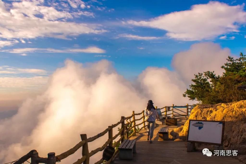  老君山|老君山：美景不止十里长