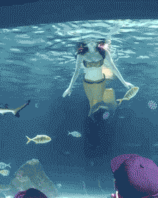 |搞笑gif:隔壁老王专用沙发