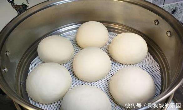 蒸锅|冬天蒸馒头面难发?掌握两个窍门,30分钟发好,馒头柔软香甜