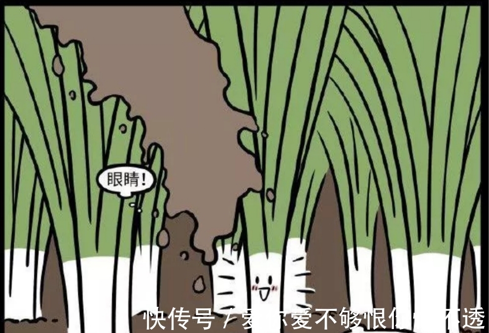 大葱|非人哉,九月再生,远古巨龙变“大葱”这是怎么回事?