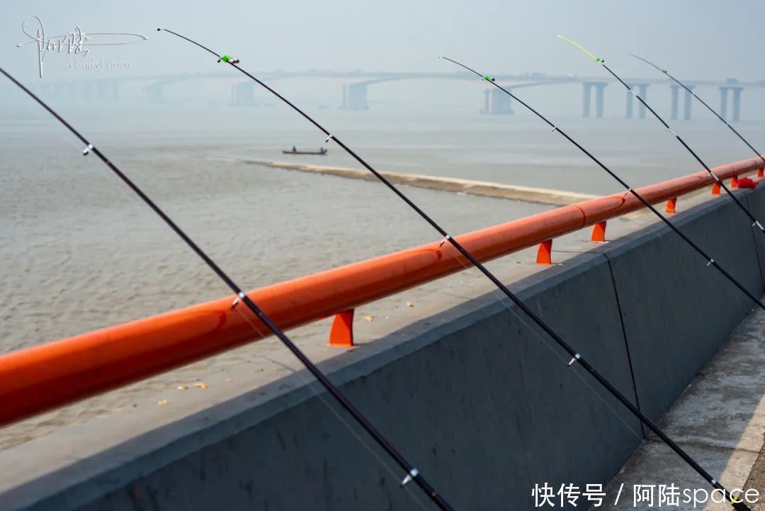 钱塘江|没有潮水时，钱塘江边是散步休闲的好去处，这里也是钓鱼人的乐园