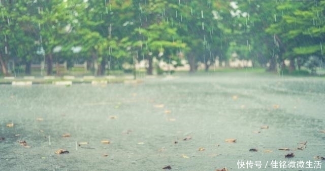 挂底|连日大雨,钓鱼会爆护吗涨水时去野钓,结果如何